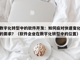 数字化转型中的软件开发：如何应对快速变化的需求？（软件企业在数字化转型中的位置）