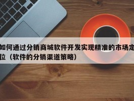 如何通过分销商城软件开发实现精准的市场定位（软件的分销渠道策略）