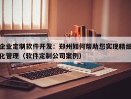 企业定制软件开发：郑州如何帮助您实现精细化管理（软件定制公司案例）