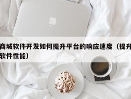 商城软件开发如何提升平台的响应速度（提升软件性能）