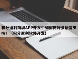 积分返利商城APP开发中如何做好多语言支持？（积分返利软件开发）