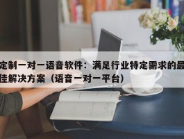 定制一对一语音软件：满足行业特定需求的最佳解决方案（语音一对一平台）