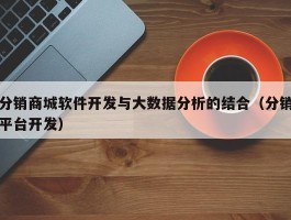 分销商城软件开发与大数据分析的结合（分销平台开发）