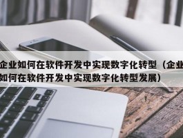 企业如何在软件开发中实现数字化转型（企业如何在软件开发中实现数字化转型发展）