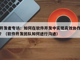 开发者专访：如何在软件开发中实现高效协作？（软件开发团队如何进行沟通）