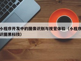 小程序开发中的图像识别与视觉体验（小程序识图黑科技）