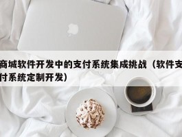 商城软件开发中的支付系统集成挑战（软件支付系统定制开发）