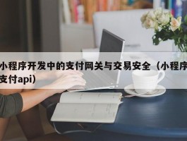 小程序开发中的支付网关与交易安全（小程序支付api）