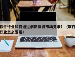 软件行业如何通过创新赢得市场竞争？（软件行业怎么发展）