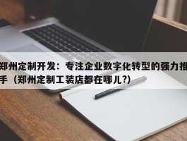 郑州定制开发：专注企业数字化转型的强力推手（郑州定制工装店都在哪儿?）