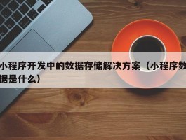 小程序开发中的数据存储解决方案（小程序数据是什么）