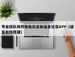 专业团队如何帮助你定制语音社交APP（语音软件搭建）