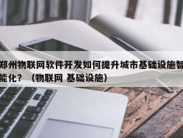 郑州物联网软件开发如何提升城市基础设施智能化？（物联网 基础设施）