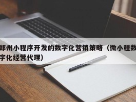 郑州小程序开发的数字化营销策略（微小程数字化经营代理）