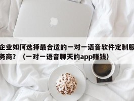 企业如何选择最合适的一对一语音软件定制服务商？（一对一语音聊天的app赚钱）