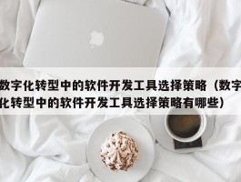 数字化转型中的软件开发工具选择策略（数字化转型中的软件开发工具选择策略有哪些）