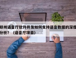 郑州语音厅软件开发如何支持语音数据的深度分析？（语音厅项目）