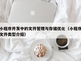 小程序开发中的文件管理与存储优化（小程序文件类型介绍）