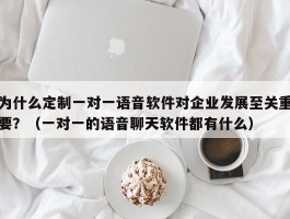 为什么定制一对一语音软件对企业发展至关重要？（一对一的语音聊天软件都有什么）