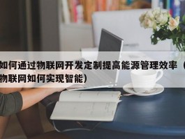 如何通过物联网开发定制提高能源管理效率（物联网如何实现智能）