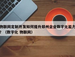 物联网定制开发如何提升郑州企业数字化能力？（数字化 物联网）