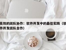 高效的团队协作：软件开发中的最佳实践（软件开发团队合作）