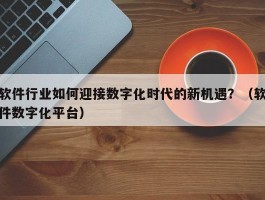 软件行业如何迎接数字化时代的新机遇？（软件数字化平台）