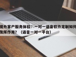 提升客户服务体验：一对一语音软件定制如何发挥作用？（语音一对一平台）