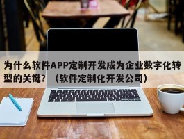 为什么软件APP定制开发成为企业数字化转型的关键？（软件定制化开发公司）