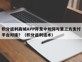 积分返利商城APP开发中如何与第三方支付平台对接？（积分返利话术）