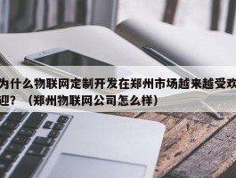 为什么物联网定制开发在郑州市场越来越受欢迎？（郑州物联网公司怎么样）