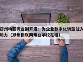 郑州物联网定制开发：为企业数字化转型注入动力（郑州物联网专业学校在哪）