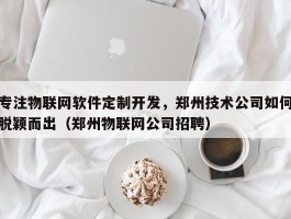 专注物联网软件定制开发，郑州技术公司如何脱颖而出（郑州物联网公司招聘）