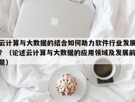 云计算与大数据的结合如何助力软件行业发展？（论述云计算与大数据的应用领域及发展前景）