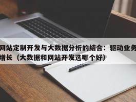 网站定制开发与大数据分析的结合：驱动业务增长（大数据和网站开发选哪个好）